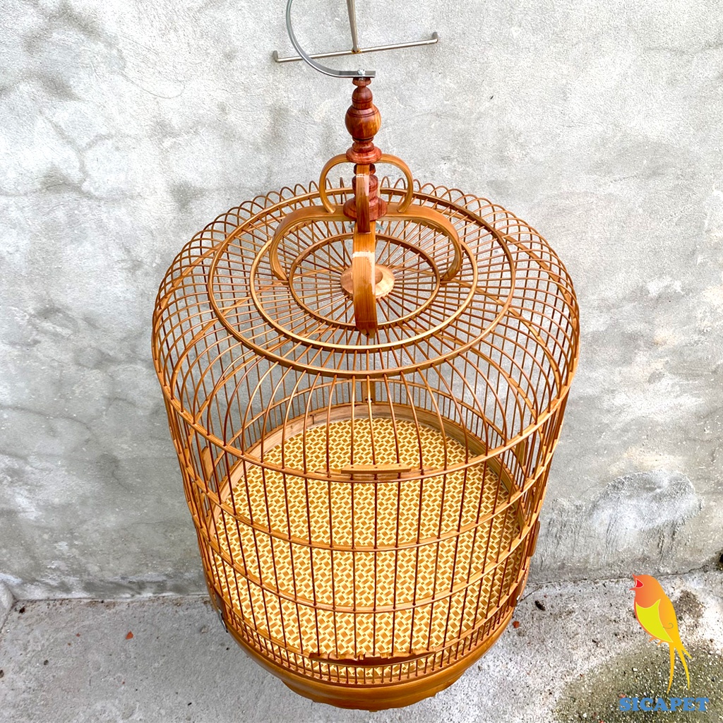 Lồng chim ChíCh Chòe - chim Chòe Than - chim Chào Mào - chim Chòe Lửa, Lồng Chòe Than - Chào Mào đẹp SICAPET