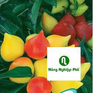 gói 20 hạt giống ớt trái đào tiên PHUNONG