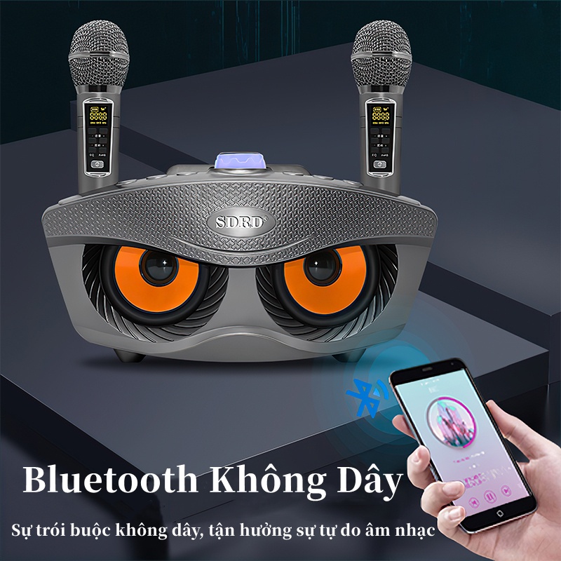 Loa Bluetooth Loa kèm micro hát karaoke Bluetooth SD306plus Không dây hết với điện thoại, máy tính bảng, Smart TV v.v...