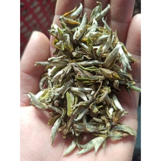 50g Bạch Trà Tiên ( Hà Giang )