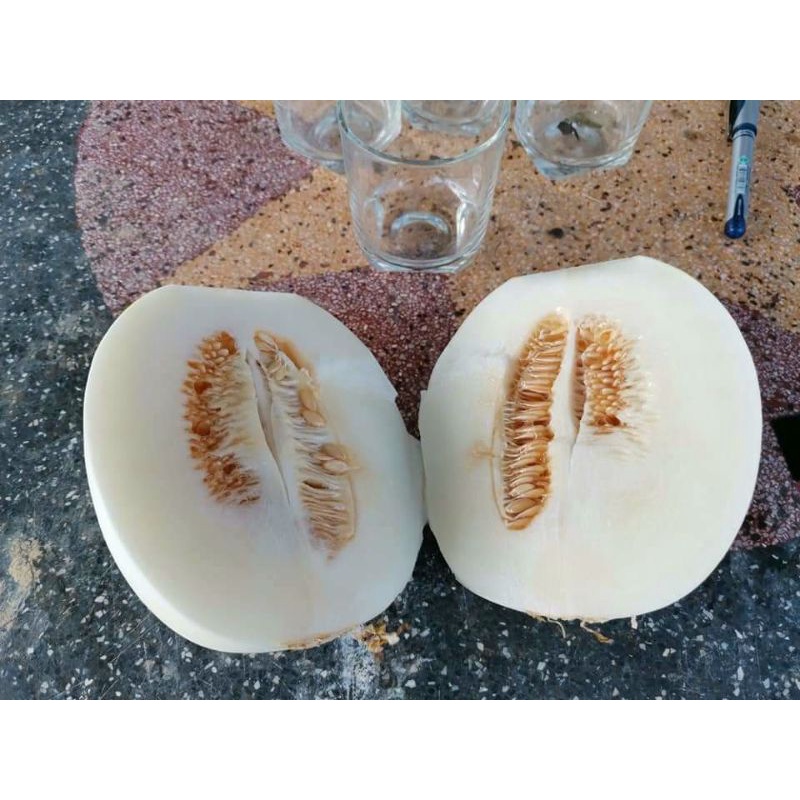 Hạt giống dưa lê thiên nữ