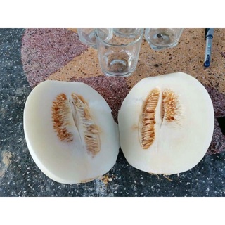 Hạt giống dưa lê thiên nữ