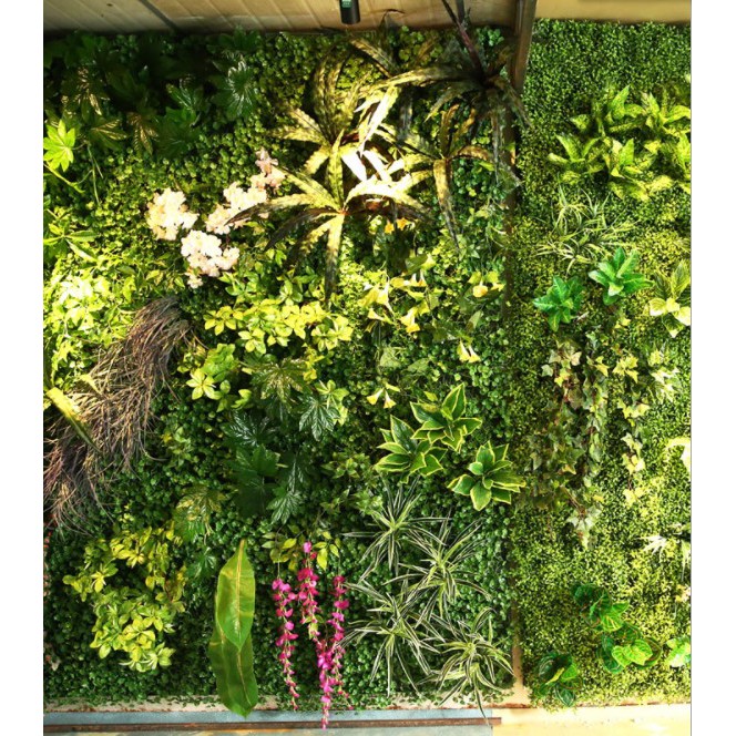Cỏ Lá Chè - Thảm cỏ nhân tạo, nhựa giả size 60*40cm, decor trang trí tường nhà, văn phòng, nhà hàng, sự kiện