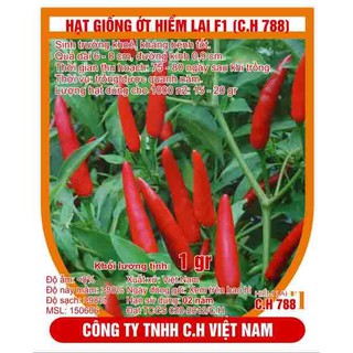Hạt giống quả ớt hiểm lai (ớt chỉ thiên)