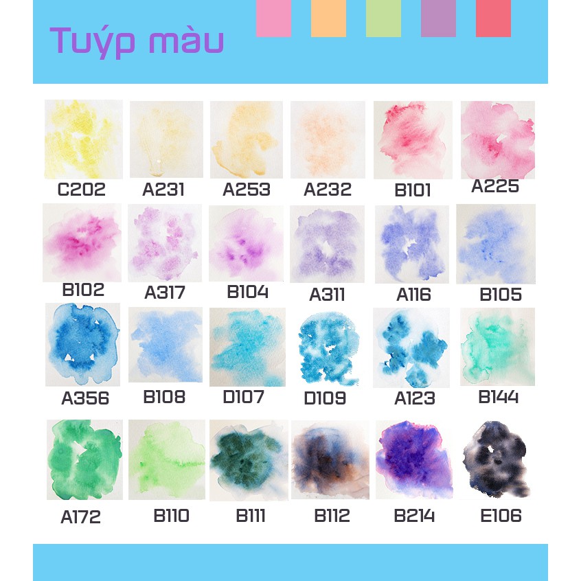 Set màu nước Paul Rubens