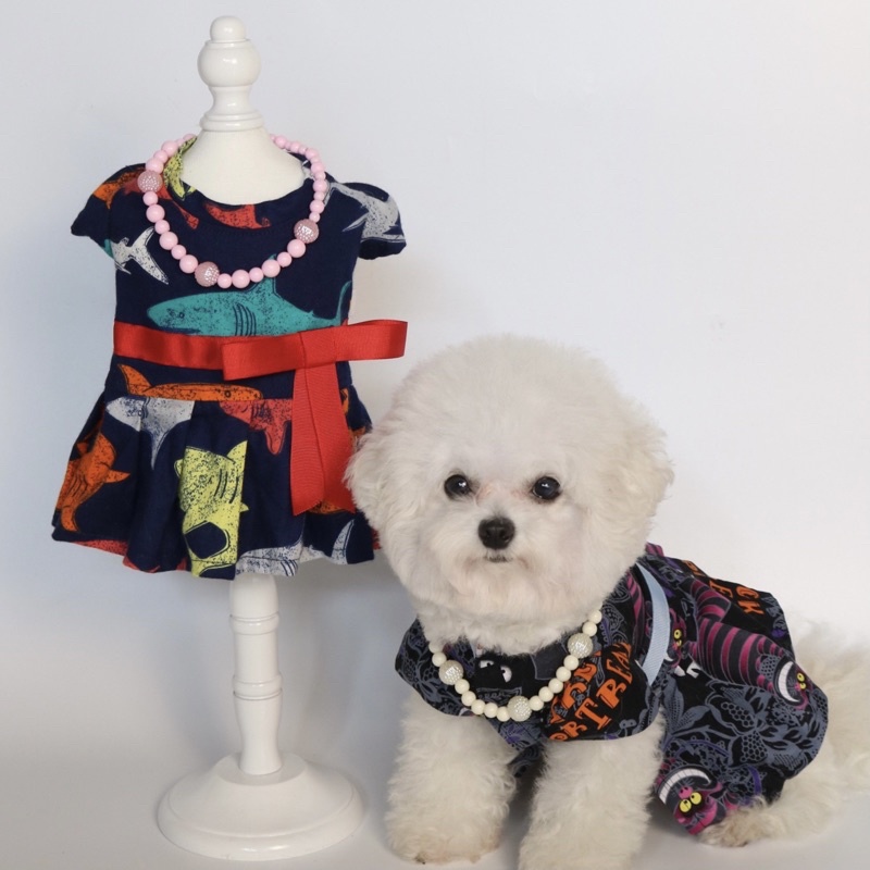 ĐẦM CÔNG CHÚA THÚ CƯNG