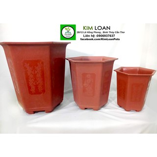 Combo 4 chậu lục giác đỏ 32x32cm