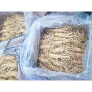 Sâm 30 củ Hầm gà