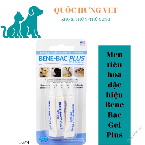 Men đường ruột Bene Bac Plus cho chó mèo - QUỐC HƯNG VET