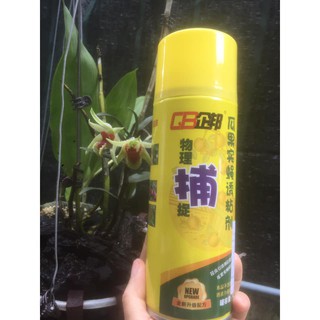 Keo xịt bẫy côn trùng chích hút 450ml