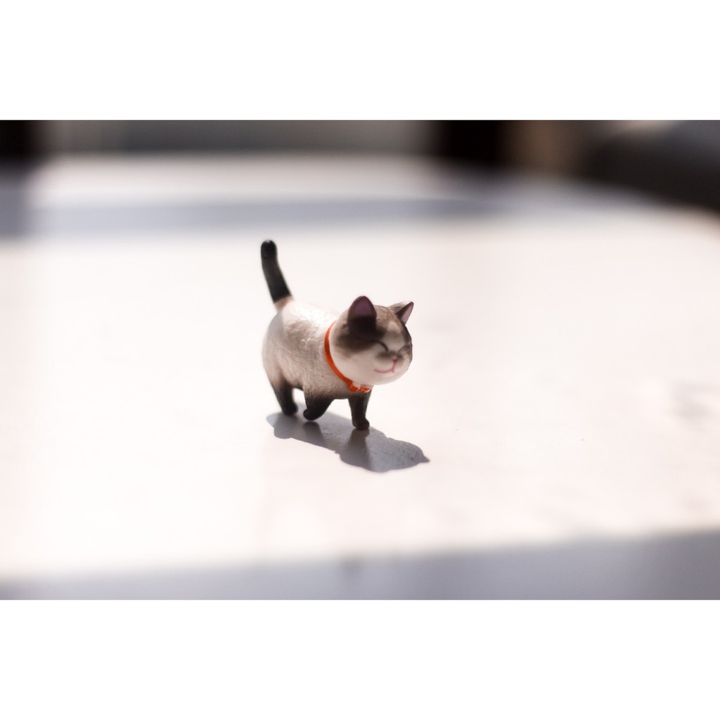 [ẢNH THẬT] [1 mèo ngẫu nhiên] Mô hình mèo bi đi bộ để bàn mini, tiểu cảnh, trang trí bàn học, bàn làm việc, tủ sách