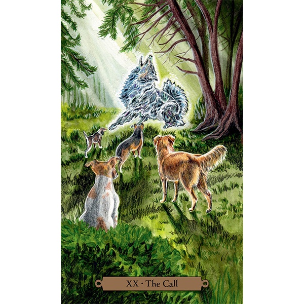 Bộ Bài Magical Dogs Tarot