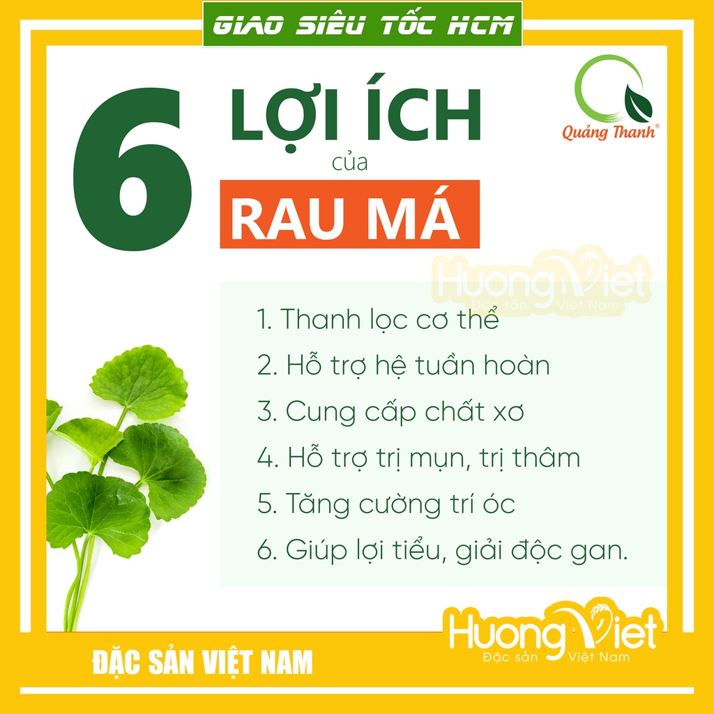 Bột rau má nguyên chất sấy lạnh Quảng Thanh 50gr, bột mịn không đường, thanh nhiệt, detox, mát gan, giảm mụn, đẹp da