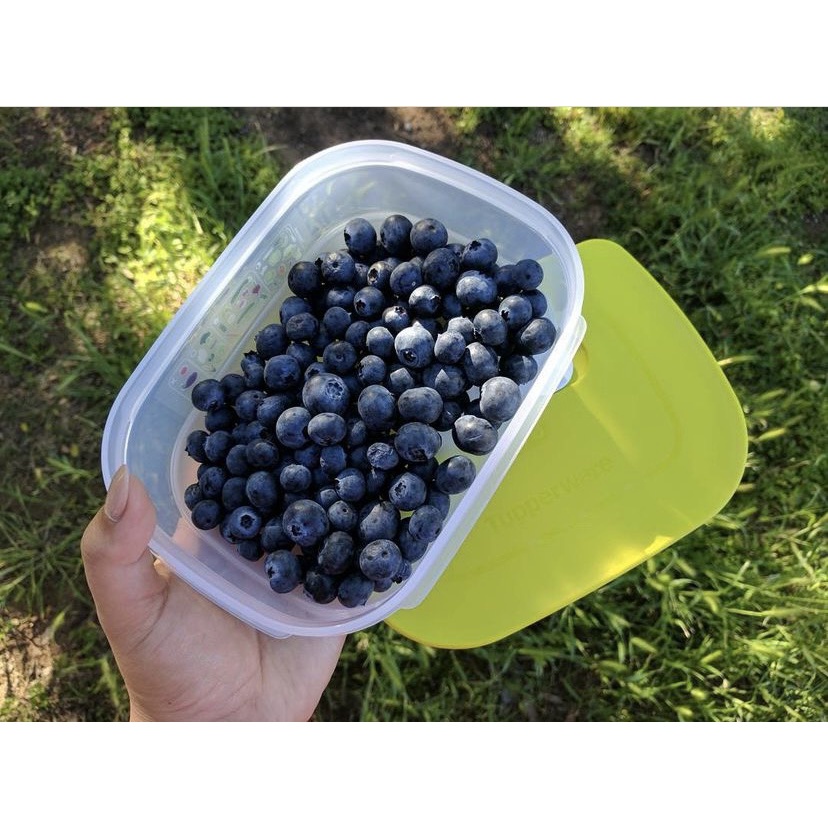 Bộ 5 hộp trữ mát có nút hô hấp Vensmart  Chính Hãng Tupperware