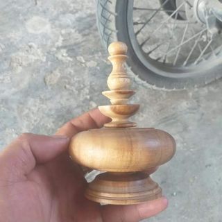 Nậm lồng chim