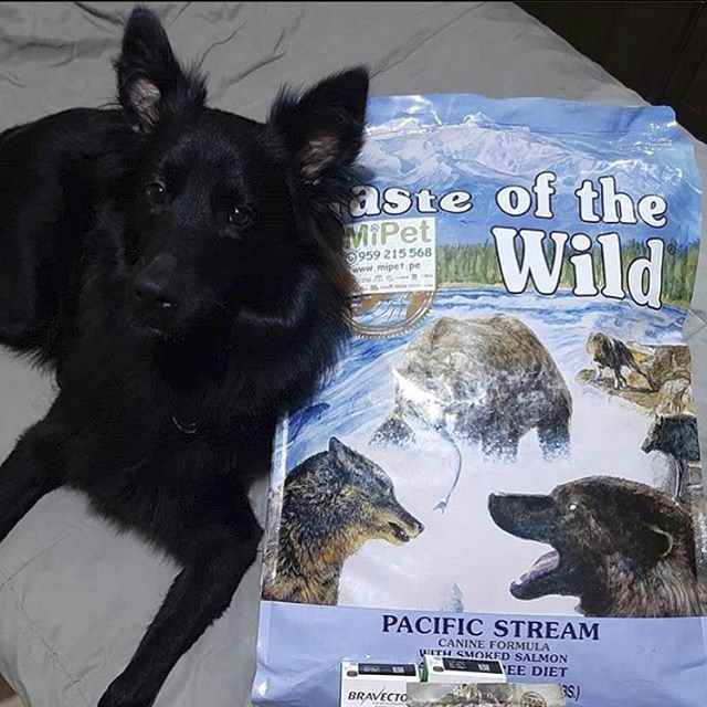 [Nhập Khẩu USA] Thức Ăn Cho Chó Becgie Taste Of The Wild Bao 2kg -  Pacific Stream Cá Hồi Xông Khói, Rau Củ Quả