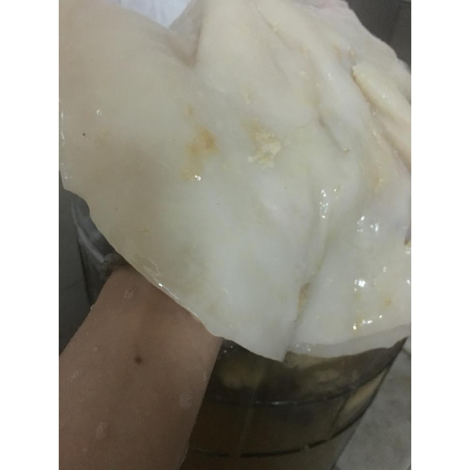 COMBO LÀM 7L ENZYME BỒ HÒN