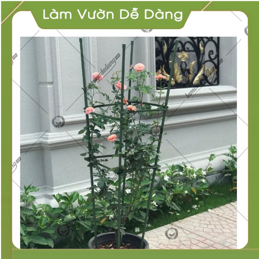 Khung Đỡ, Giá Đỡ Hoa Hồng Leo, COMBO 2 KHUNG TỨ GIÁC  0.9M 2 TẦNG