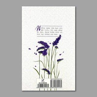 Sách - Người Đi Bán Nắng