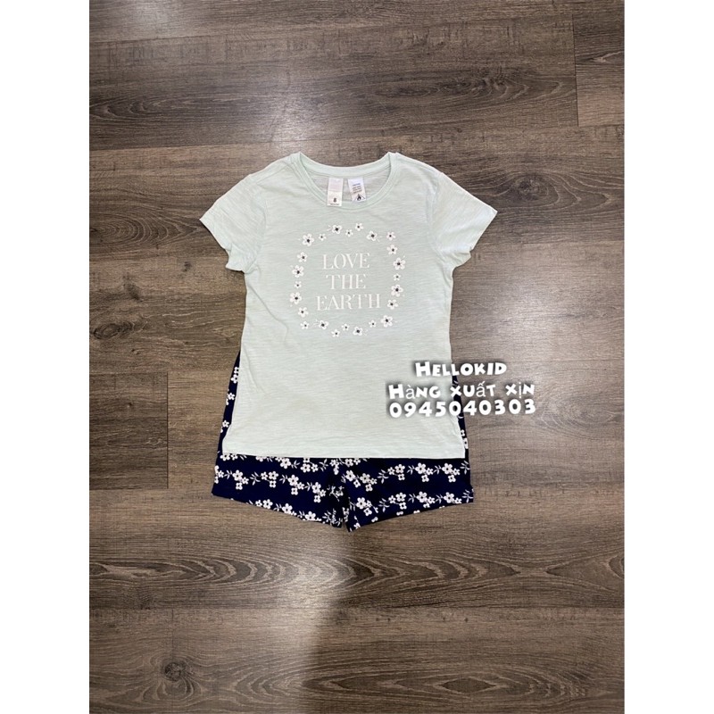 [Mã FAMAYFA2 giảm 10K đơn 50K] bộ hoa xanh love