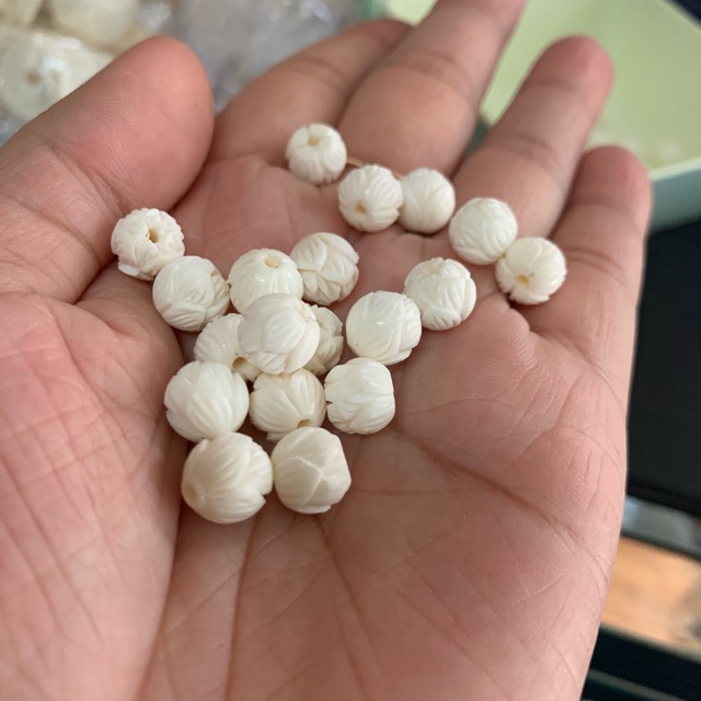 Chân bi sen xương chạm tay