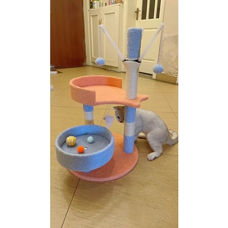 Cattree cho mèo kèm hình feedback đáng yêu