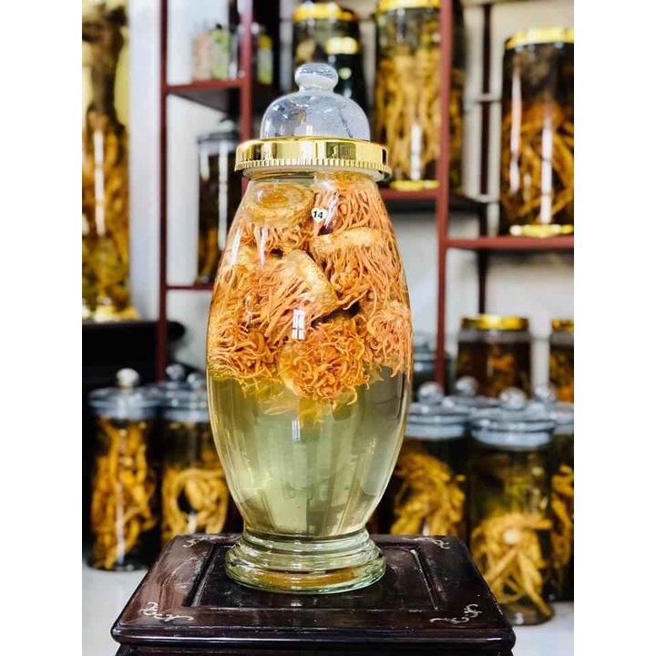 Đông trùng hạ thảo tươi thượng hạng Sasuke 1 đế 150g nuôi cấy tại Đà Lạt tốt cho sức khỏe