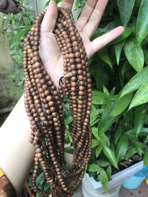 Chuỗi vòng 108 hạt xá xị đỏ
