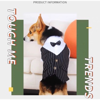 Áo somi liền gile của chó mèo [QUẦN ÁO THÚ CƯNG]