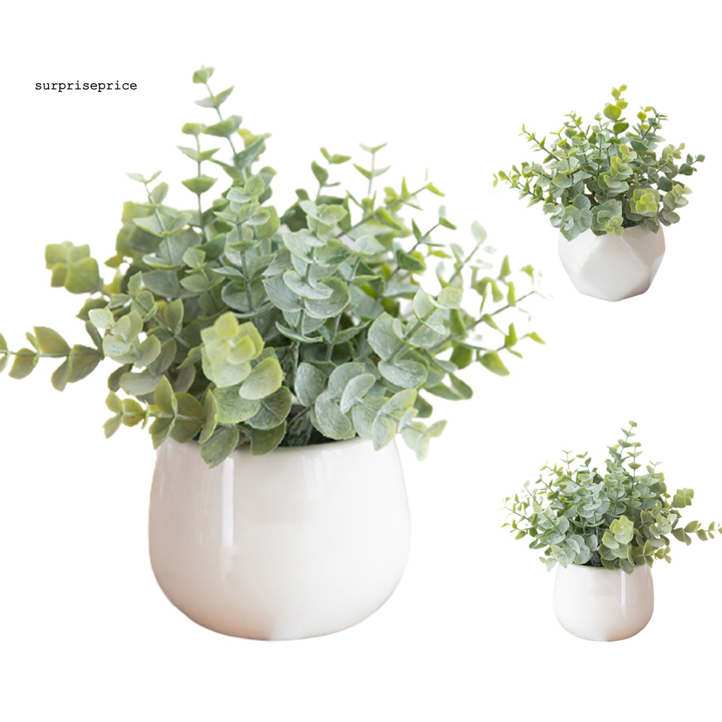 Chậu Cây Bonsai Giả Bằng Nhựa Cao Cấp Đa Năng Trang Trí Nhà Cửa