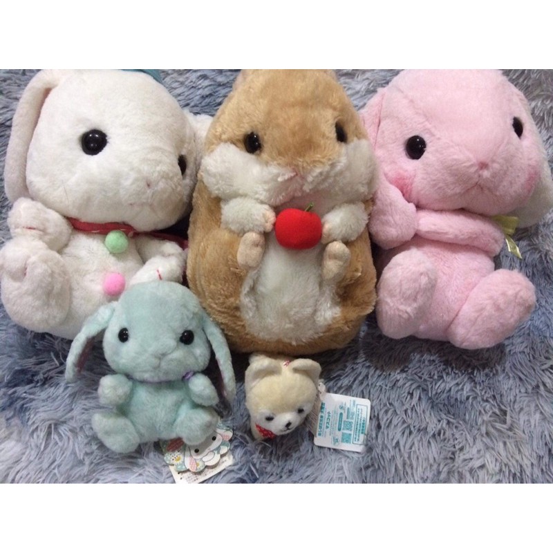 set 3 gấu amuse