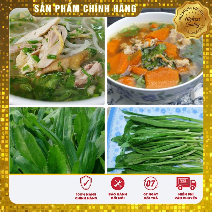 Hạt giống Rau Mùi Tàu ( Răng cưa )