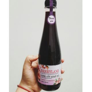 Nước cốt atiso đỏ chai 500ml