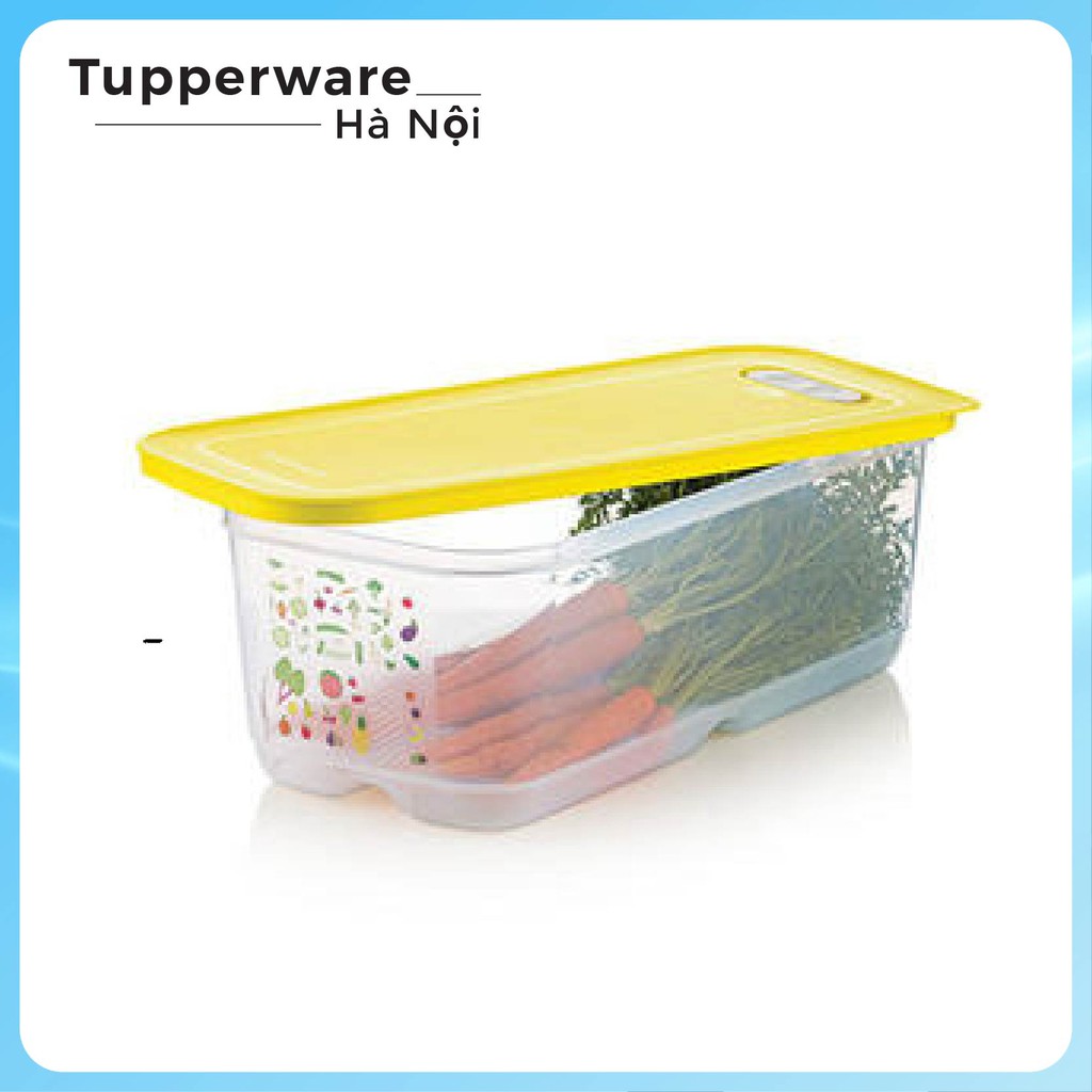 Hộp trữ mát có nút hô hấp Ventsmart 6L - hộp trữ mát Tupperware