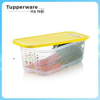 Hộp trữ mát có nút hô hấp Ventsmart 6L - hộp trữ mát Tupperware