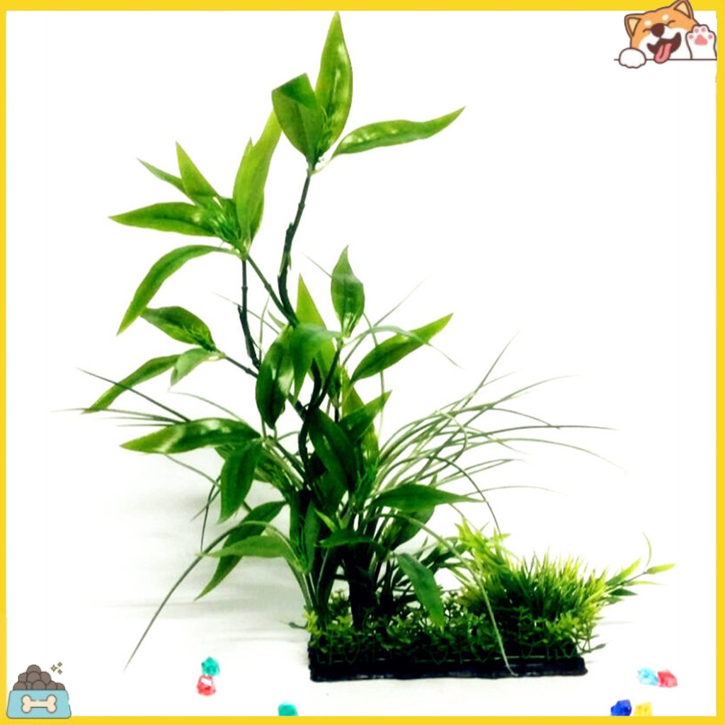 Cây cảnh giả bằng nhựa dùng trang trí bể cá độc đáo sáng tạo