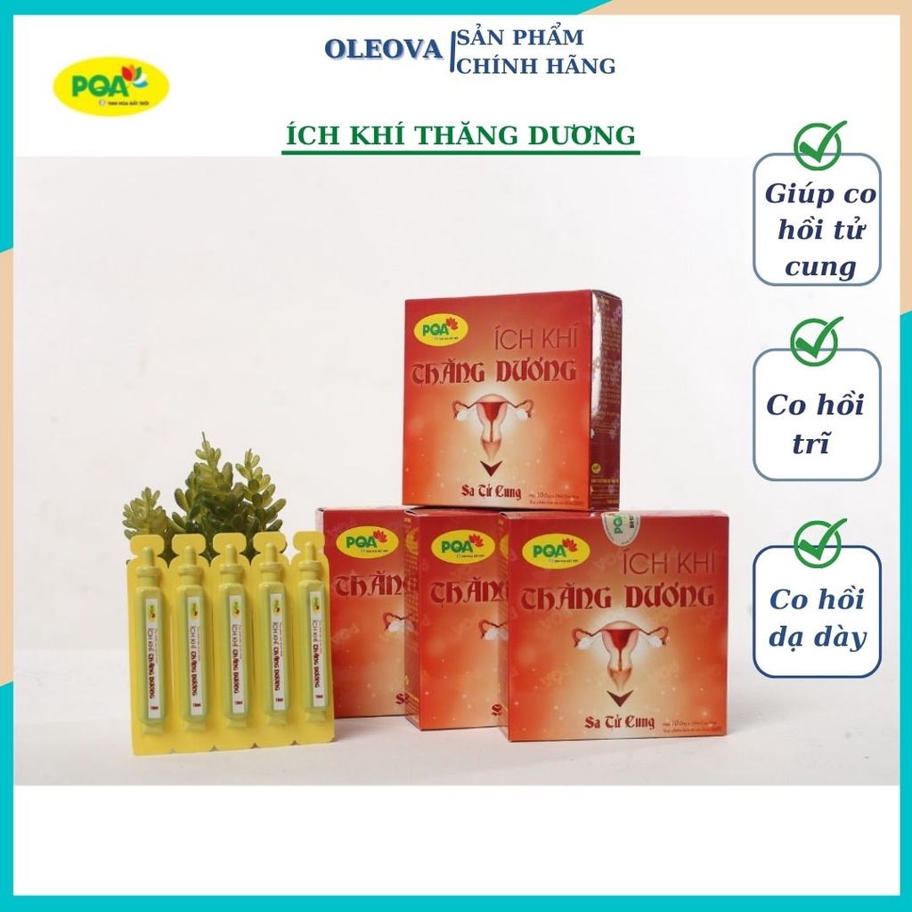 Ích Khí Thăng Dương PQA hỗ trợ giảm triệu chứng sa tử cung trĩ OLEOVA RD54 (10 ống)