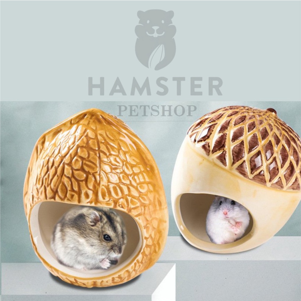 Nhà ngủ sứ hình quả cho Hamster , sóc bay