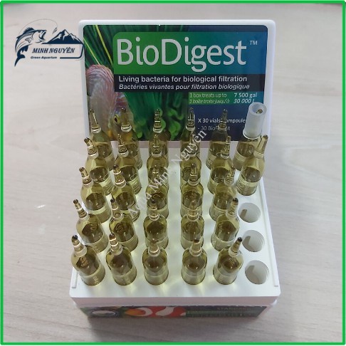 Vi Sinh Bio Digest  🐠🐠🐠 Bổ sung vi sinh Bổ sung vi sinh sống , giúp tạo hệ vi sinh cho hồ cá nước mặn và nước ngọt