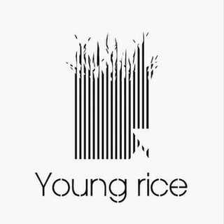 YOUNG RICE DRAP