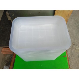 Combo 2 thau nhựa tắm chim loại trung