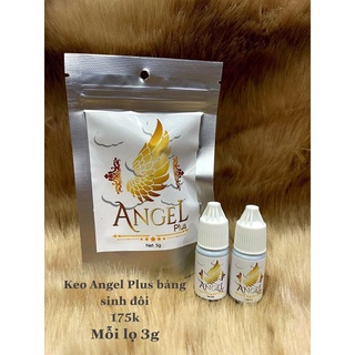 KEO ANGEL NỐI MI
