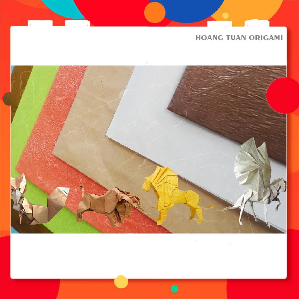 Origami Newbie Combo - Combo giấy gấp Origami cho người mới