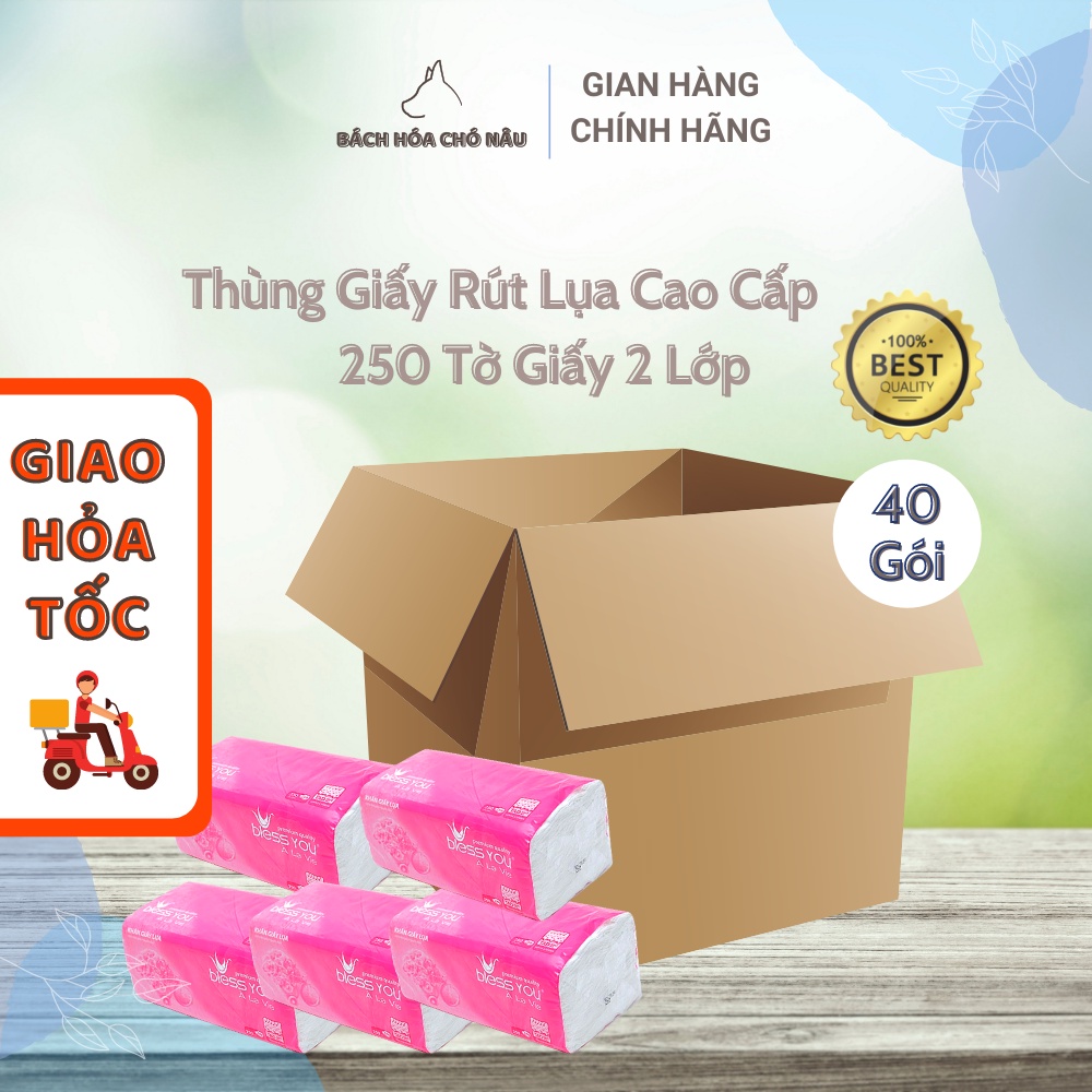 Thùng 40 Gói Khăn Giấy Rút Lụa Bless You À La Vie 250 Tờ 2 Lớp Cao Cấp Tiết Kiệm cho Gia Đình [ Hàng Mới Chính Hãng]