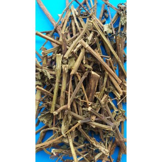 cây râu mèo phơi khô 1kg