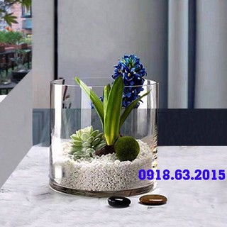 bình thủy tinh dạng trụ 20x20