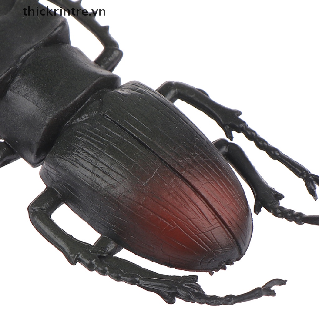 Đồ chơi mô hình bọ cánh cứng sáng tạo dùng dạy học cho bé