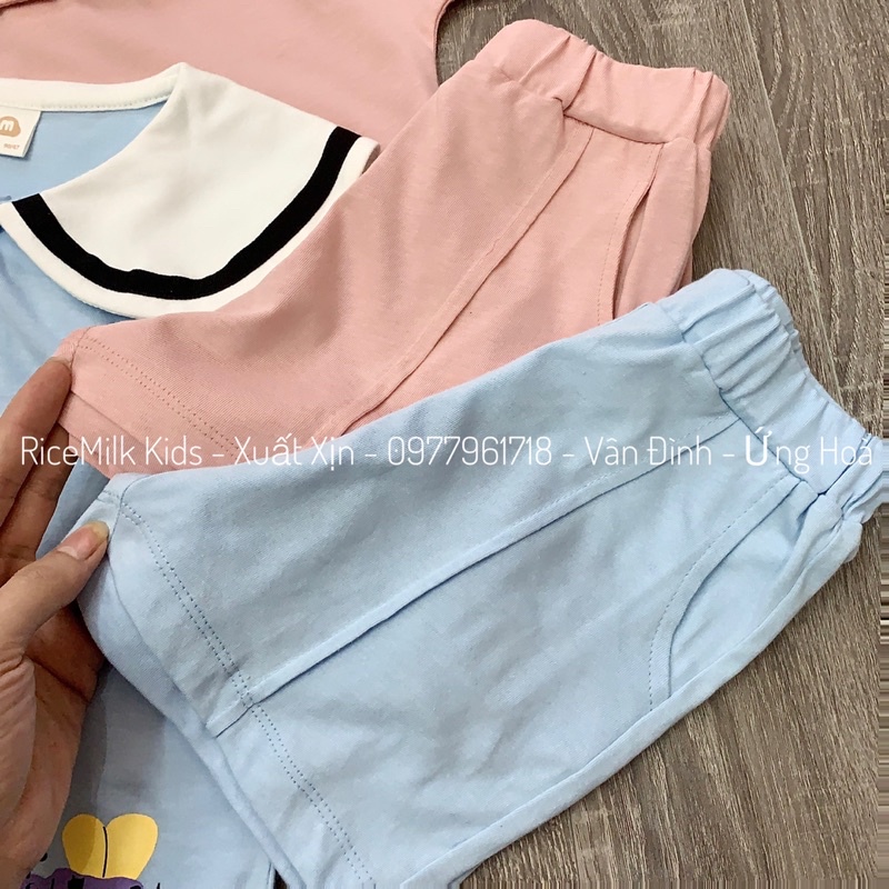 Bộ hè cotton cho bé trai bé gái cổ thuỷ thủ xuất Hàn