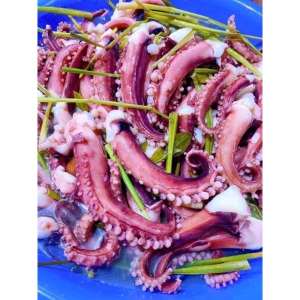 Râu Tuộc Khổng Lồ 1kg