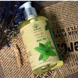 Dầu gội bạc hà trị gàu AmeGreen